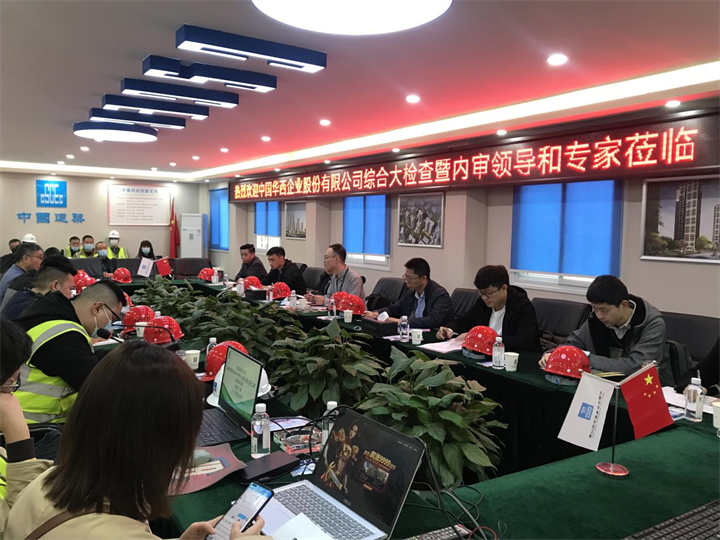 集團領(lǐng)導及內審專(zhuān)家一行到成都教科院學(xué)生公寓項目及臨江苑二期安置房項目進(jìn)行綜合檢查