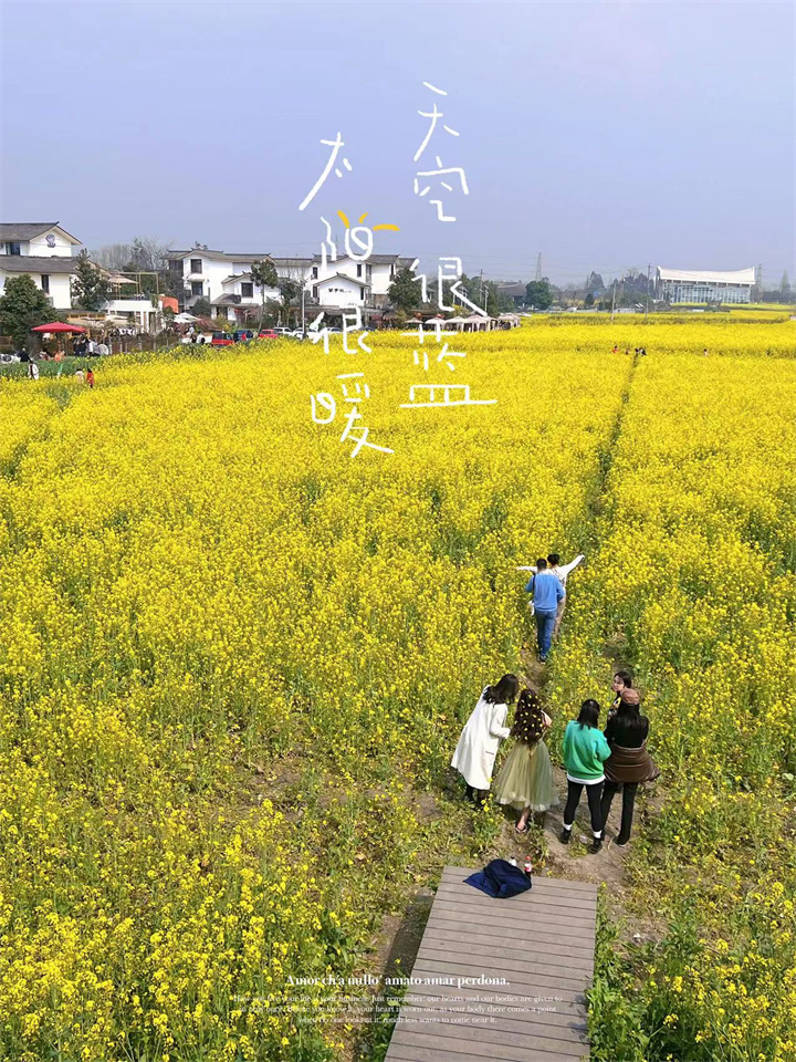 個(gè)人二等獎  王一嵐  太陽(yáng)很暖.jpg